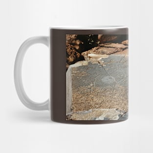 Rock Engravings, Twyfelfontein Mug